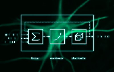 A powerful tool for the study of neuronal networks