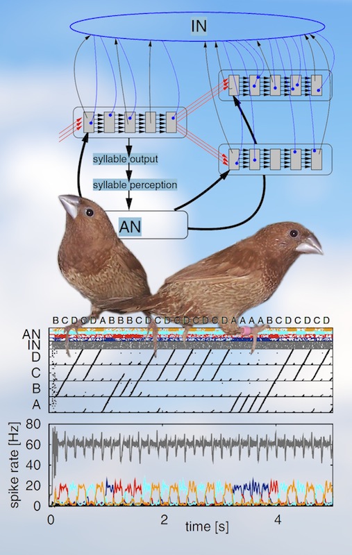 A model of song syntax generation in the Bengalese finch