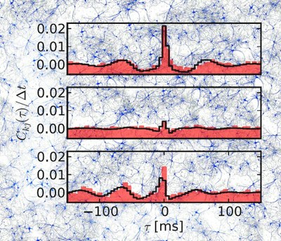 Why do neurons act in unison?