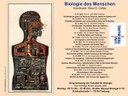 This winter semester, the University of Freiburg will host a lecture series on human biology. The public lectures (which are held in German). Three of those talks are in the field of neuroscience.