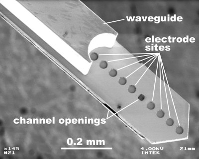  A Light Switch inside the Brain 