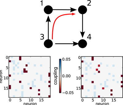 Reconstructing networks from spike train data