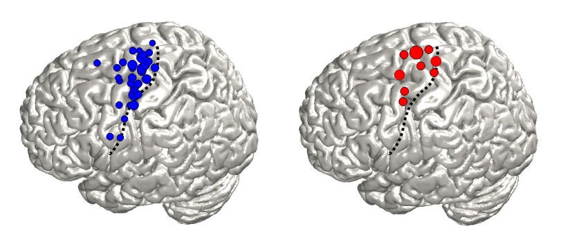 Mapping the Brain