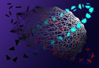 Embedded nerve cells hold the key to brain activity