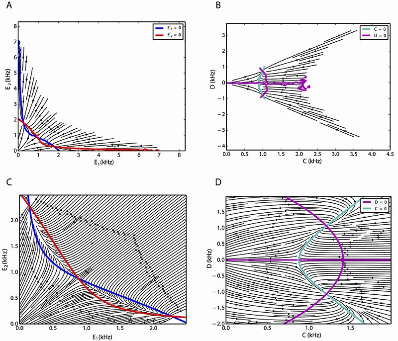 Winnerless Competition in Clustered Neural Networks