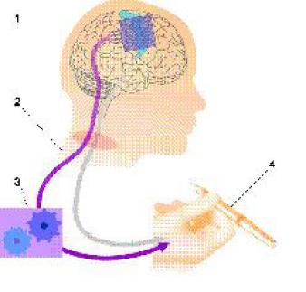 gobiobiopro0701.jpg