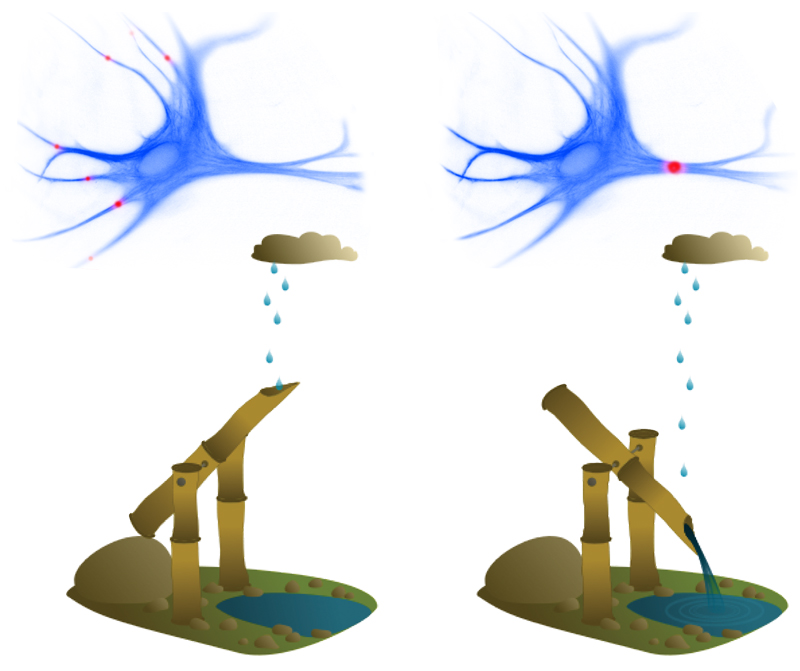 pm-bcf-neurone-bild.jpg