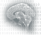 neuroinf_logo.gif