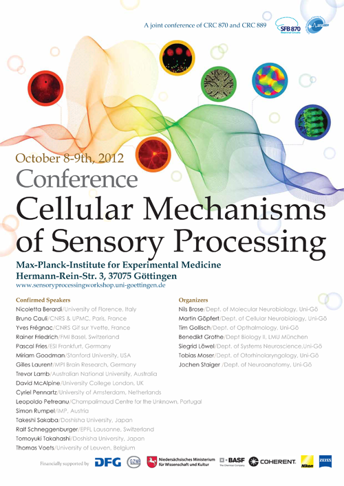 Cellular_Mechanisms_of_Sensory_Processing_2012.png